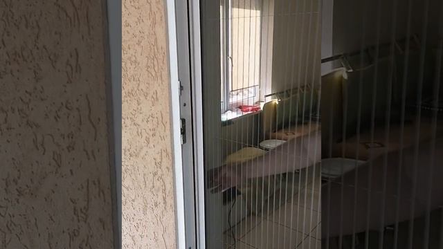 ?Сетка гармошка.?️Сделано в Волгограде.?Инновационная москитная сетка.☎️8 904 423 0901 смотреть онлайн