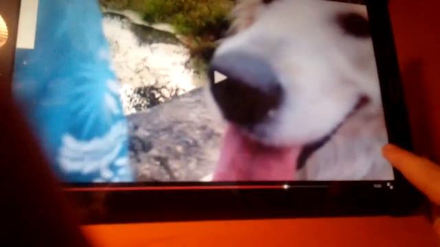 Рисунки для канала Julia jupiter смотреть онлайн