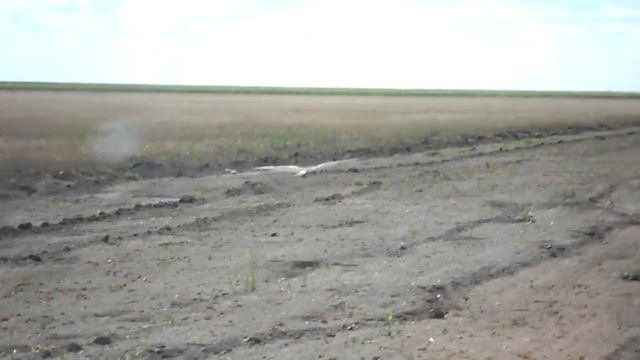Степная птица (Оренбург) смотреть онлайн