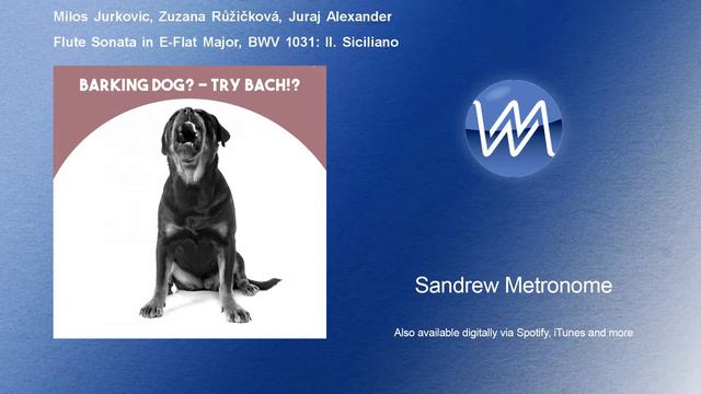 Milos Jurkovic, Zuzana Růžičková, Juraj - Flute Sonata in E-Flat Major, BWV 1031: II. Siciliano смотреть онлайн