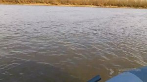 Обкатка лодочного мотора 6.5 4 так!!!