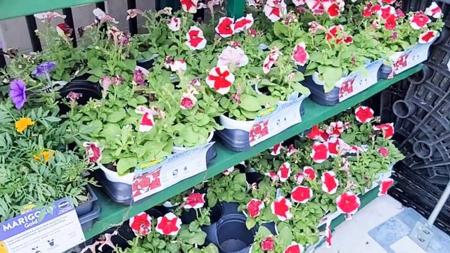 WALMART GARDEN CENTER PLANT SHOPPING! OUTDOOR AND INDOOR PLANTS! смотреть онлайн