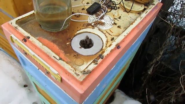 март на пасеке - экспериментальная семья с летком в потолке, зимует хорошо, облетывалась в марте смотреть онлайн