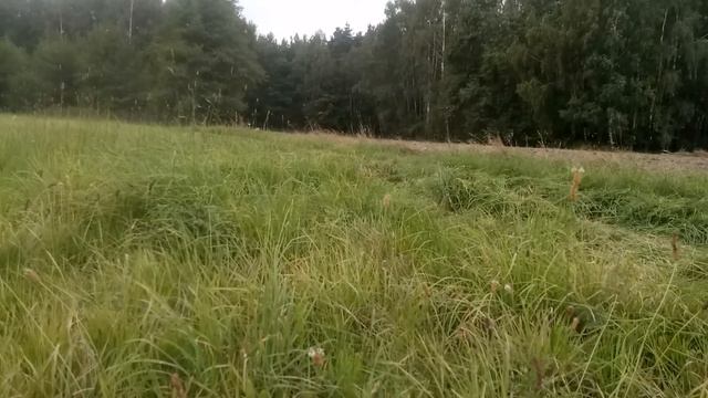 Koszenie trawy 2019 смотреть онлайн
