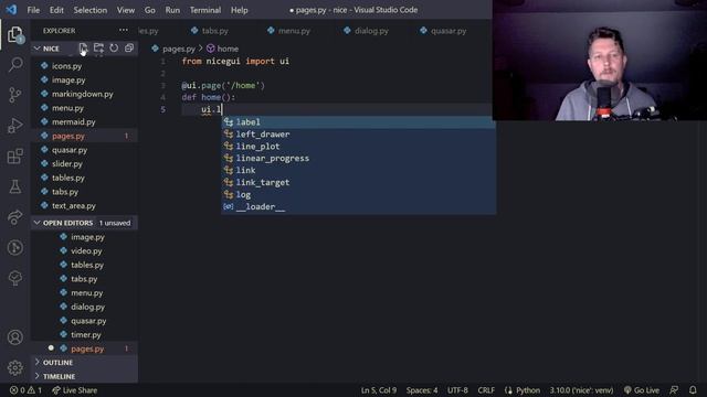 Python - NiceGUI - Timer, Pages and redirect смотреть онлайн