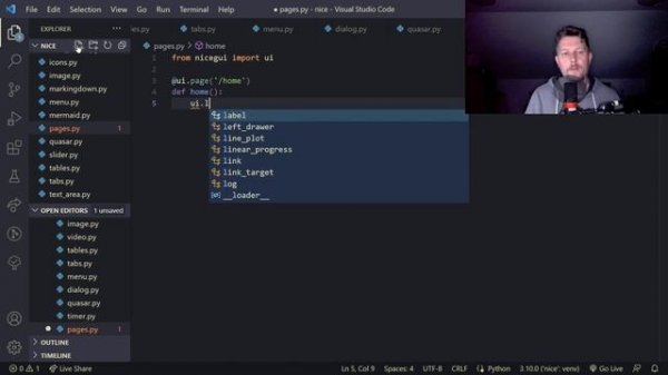 Python - NiceGUI - Timer, Pages and redirect