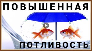 ПОВЫШЕННАЯ ПОТЛИВОСТЬ - ЧТО ДЕЛАТЬ.mp4