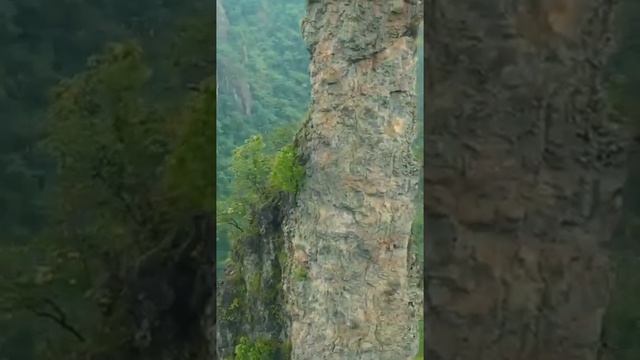 Three men & three women climbed the Monster Python Peak of Sanqing Mountain in Shangrao смотреть онлайн