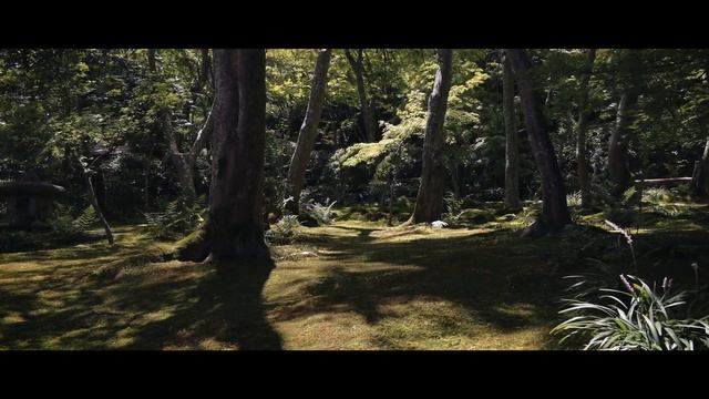Kyoto | Canon G5 X Mark II 4K Video смотреть онлайн