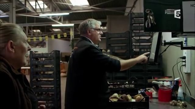 Les Champignons - Documentaire