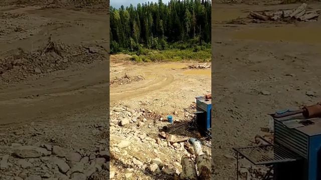 Добыча россыпного золота , река" Каменная Сия" ,сезон 2022 часть 1 Alluvial gold mining, Stone rive смотреть онлайн