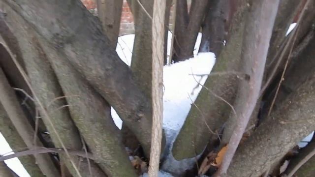 Фундук, пособие для начинающих. смотреть онлайн