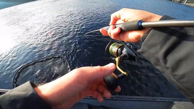 Catches 5 Different Species on Spin Fishing! (Crazy Fishing in Bergeforsen) | Team Galant смотреть онлайн