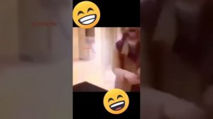 цыганские приколы до слёз ??