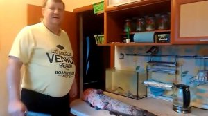 КАК ЧИСТИТЬ РЫБУ СОМ!