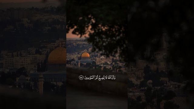 Коран #коран Quran #quran Сура Аль- 'Имран (Семейство 'Имрана) 3:169 - 3:173 смотреть онлайн