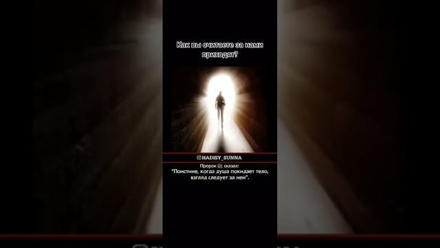 КОГДА ДУША ПОКИДАЕТ ТЕЛО.... смотреть онлайн