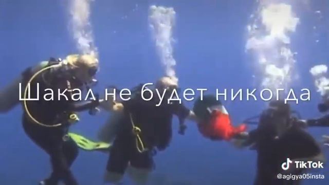 Чеченцы 🐺 смотреть онлайн