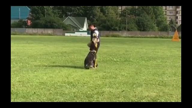 Карай 10 лет