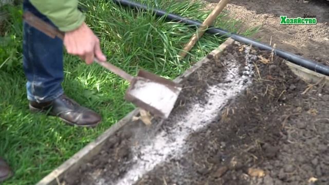 Посадка чеснока осенью под зиму. Секрет урожая - в золе. смотреть онлайн