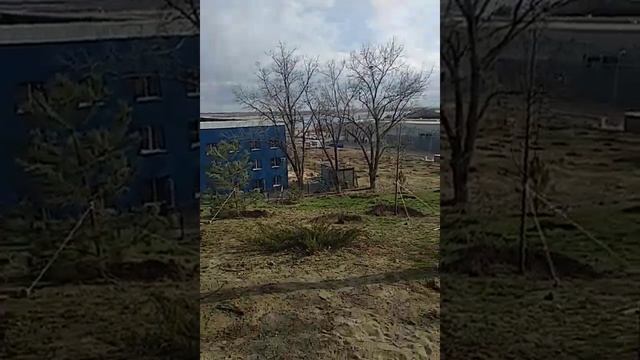 #волгоград #volgograd 08.04.2019(2) смотреть онлайн