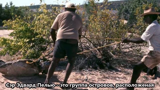 VK5CE/8 Остров Северный Острова Сэра Эдварда Пеллью. С сайта dxnews.com смотреть онлайн