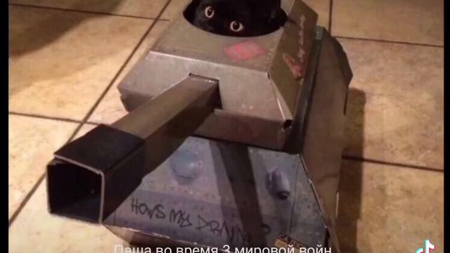 Мемы про Пашу 1,Паши сори,пишите имена смотреть онлайн
