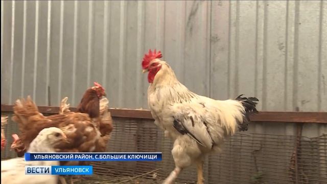 Большие Ключищи – вновь с водой! смотреть онлайн