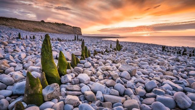 Peter Roe. Divinity смотреть онлайн