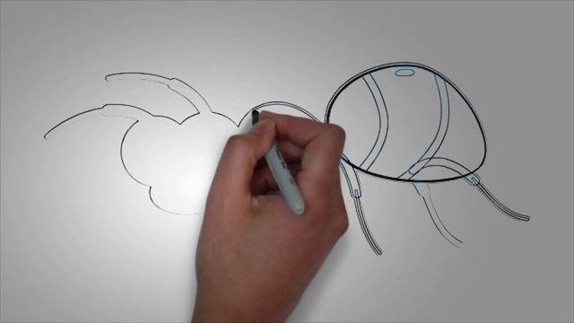 Рисуем насекомых. Как нарисовать насекомые муравей смотреть онлайн