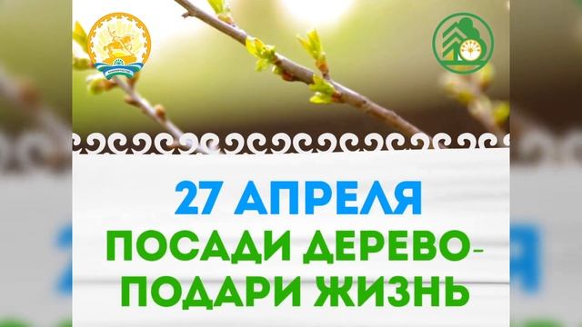 27 апреля - республиканская акция "Зелёная Башкирия" смотреть онлайн