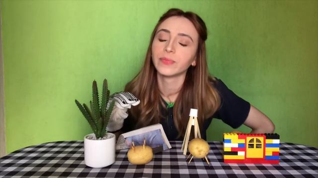 Contação De História: Os 3 Porquinhos