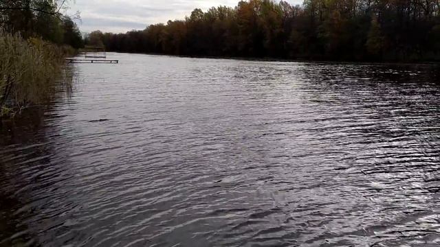 Как я раньше жила на форуме птицеводов. смотреть онлайн