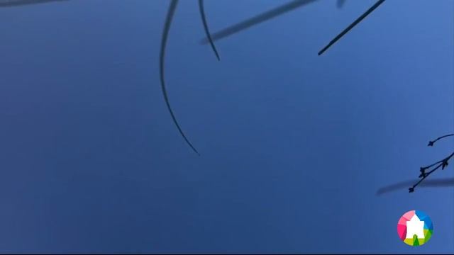 Крушение гироплана Calidus в Нижегородской области попало на видео (26.05.2018)