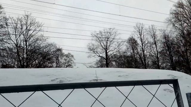 VID 20211219 141914 Так гранит покрывается наледью...(Борис Рыжий)...Павел Васильев Лахтинский смотреть онлайн
