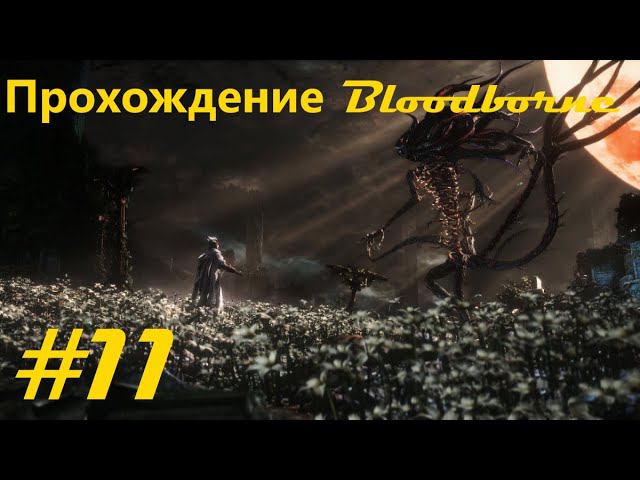 Прохождение Кровавогорождения / Bloodborne walkthrough. Часть 11