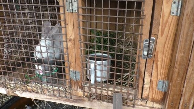 продолжение про Зайку смотреть онлайн