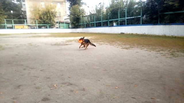 Тильда с тарелкой смотреть онлайн