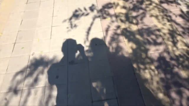 КУДА ДЕЛАСЬ МАМА?! 23.07.16 смотреть онлайн