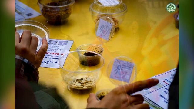 Семейный выходной "КЛАССное время" смотреть онлайн