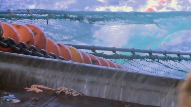 The destructiveness of bottom trawling смотреть онлайн