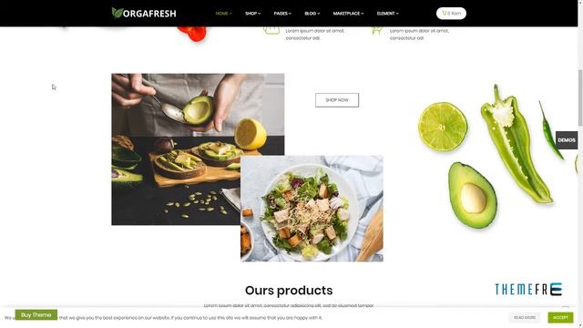Orgafresh -“ Organic and Food WooCommerce WordPress Theme Alton смотреть онлайн