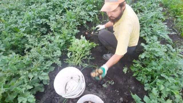 ДЕРЕВЕНСКИЕ БУДНИ.делаем деревянный забор. Как все успеть!!!?? смотреть онлайн