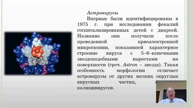 Гигиенические аспекты вирусного загрязнения продуктов питания смотреть онлайн