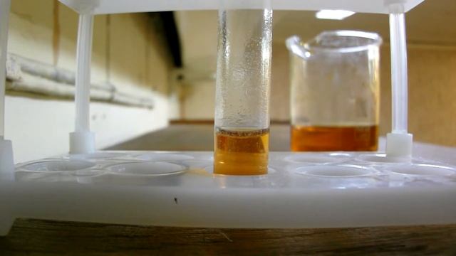 Анальгиновый хамелеон смотреть онлайн