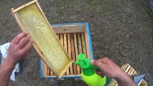 Установка магазина на улей, с маленькими нюансами.