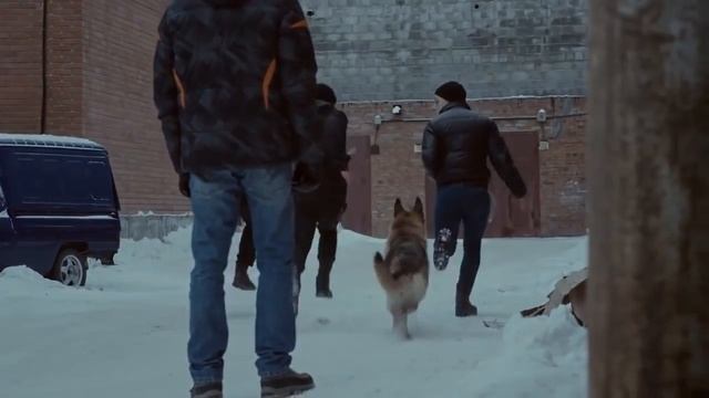 Видео которое заставляет плакать смотреть онлайн