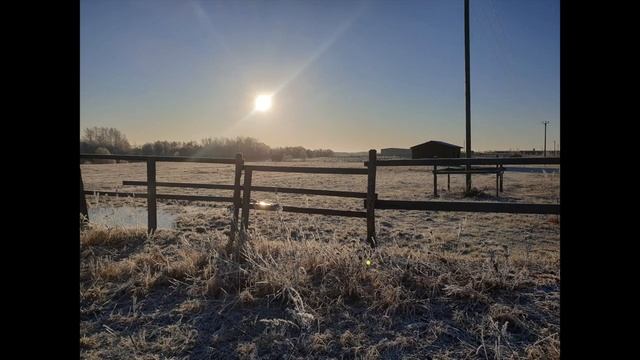 знакомство nokta makro #Nokta #NoktaSimplex #noktasimplex смотреть онлайн