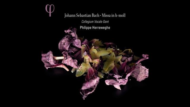 BACH // Mass in B minor. Agnus Dei // Collegium Vocale Gent, Philippe Herreweghe смотреть онлайн