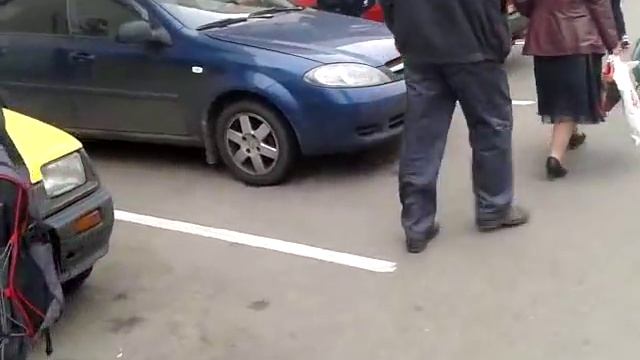 Утки огари с утятами гуляют по улицам в центре Москвы смотреть онлайн